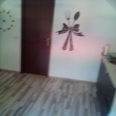 Casa Milos Si Fiul * Baile Herculane