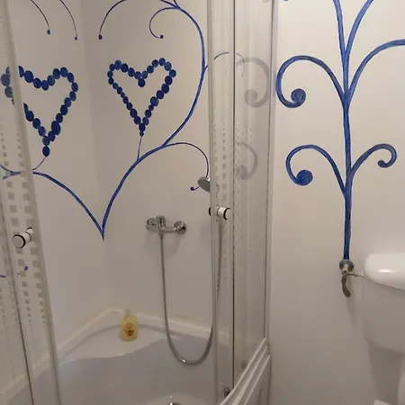 Casa Milos Si Fiul Homestay *