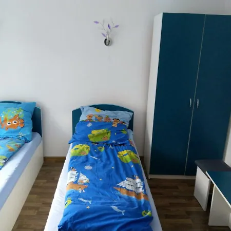 Homestay Casa Milos Si Fiul Baile Herculane
